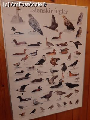 [P29] Hótel Eyjafjallajökull » foto by adso
 - 
<span class="allrVoted glyphicon glyphicon-heart hidden" id="av1510525"></span>
<a class="m-l-10 hidden" id="sv1510525" onclick="voting_Foto_DelVot(,1510525,29202)" role="button">șterge vot <span class="glyphicon glyphicon-remove"></span></a>
<a id="v91510525" class=" c-red"  onclick="voting_Foto_SetVot(1510525)" role="button"><span class="glyphicon glyphicon-heart-empty"></span> <b>LIKE</b> = Votează poza</a> <img class="hidden"  id="f1510525W9" src="/imagini/loader.gif" border="0" /><span class="AjErrMes hidden" id="e1510525ErM"></span>