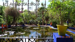 [P03] Nuferi-Gradina Majorelle » foto by mecut
 - 
<span class="allrVoted glyphicon glyphicon-heart hidden" id="av1014823"></span>
<a class="m-l-10 hidden" id="sv1014823" onclick="voting_Foto_DelVot(,1014823,29203)" role="button">șterge vot <span class="glyphicon glyphicon-remove"></span></a>
<a id="v91014823" class=" c-red"  onclick="voting_Foto_SetVot(1014823)" role="button"><span class="glyphicon glyphicon-heart-empty"></span> <b>LIKE</b> = Votează poza</a> <img class="hidden"  id="f1014823W9" src="/imagini/loader.gif" border="0" /><span class="AjErrMes hidden" id="e1014823ErM"></span>