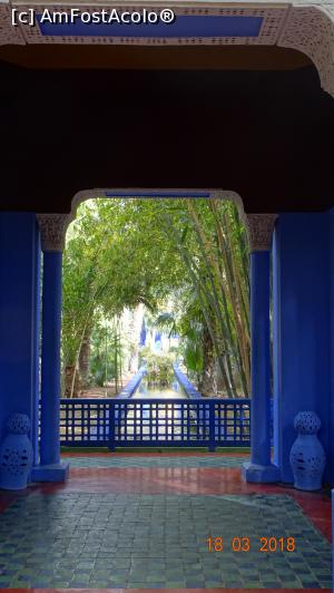 [P05] Pavilionul, Gradina Majorelle » foto by mecut
 - 
<span class="allrVoted glyphicon glyphicon-heart hidden" id="av1014825"></span>
<a class="m-l-10 hidden" id="sv1014825" onclick="voting_Foto_DelVot(,1014825,29203)" role="button">șterge vot <span class="glyphicon glyphicon-remove"></span></a>
<a id="v91014825" class=" c-red"  onclick="voting_Foto_SetVot(1014825)" role="button"><span class="glyphicon glyphicon-heart-empty"></span> <b>LIKE</b> = Votează poza</a> <img class="hidden"  id="f1014825W9" src="/imagini/loader.gif" border="0" /><span class="AjErrMes hidden" id="e1014825ErM"></span>