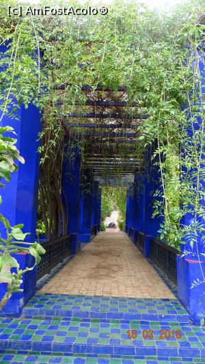 [P09] Pergola, Gradina Majorelle » foto by mecut
 - 
<span class="allrVoted glyphicon glyphicon-heart hidden" id="av1014829"></span>
<a class="m-l-10 hidden" id="sv1014829" onclick="voting_Foto_DelVot(,1014829,29203)" role="button">șterge vot <span class="glyphicon glyphicon-remove"></span></a>
<a id="v91014829" class=" c-red"  onclick="voting_Foto_SetVot(1014829)" role="button"><span class="glyphicon glyphicon-heart-empty"></span> <b>LIKE</b> = Votează poza</a> <img class="hidden"  id="f1014829W9" src="/imagini/loader.gif" border="0" /><span class="AjErrMes hidden" id="e1014829ErM"></span>