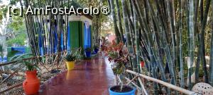[P13] Marrakech, Grădina Majorelle, Foișorul și Locul de odihnă de la Intrarea în Grădină pozate spre Intrare, ce bambuși imenși... » foto by mprofeanu
 - 
<span class="allrVoted glyphicon glyphicon-heart hidden" id="av1483260"></span>
<a class="m-l-10 hidden" id="sv1483260" onclick="voting_Foto_DelVot(,1483260,29203)" role="button">șterge vot <span class="glyphicon glyphicon-remove"></span></a>
<a id="v91483260" class=" c-red"  onclick="voting_Foto_SetVot(1483260)" role="button"><span class="glyphicon glyphicon-heart-empty"></span> <b>LIKE</b> = Votează poza</a> <img class="hidden"  id="f1483260W9" src="/imagini/loader.gif" border="0" /><span class="AjErrMes hidden" id="e1483260ErM"></span>
