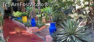 [P22] Marrakech, Grădina Majorelle, Prin Grădina viu colorată, spre Memorialul Yves Saint Laurent » foto by mprofeanu
 - 
<span class="allrVoted glyphicon glyphicon-heart hidden" id="av1483269"></span>
<a class="m-l-10 hidden" id="sv1483269" onclick="voting_Foto_DelVot(,1483269,29203)" role="button">șterge vot <span class="glyphicon glyphicon-remove"></span></a>
<a id="v91483269" class=" c-red"  onclick="voting_Foto_SetVot(1483269)" role="button"><span class="glyphicon glyphicon-heart-empty"></span> <b>LIKE</b> = Votează poza</a> <img class="hidden"  id="f1483269W9" src="/imagini/loader.gif" border="0" /><span class="AjErrMes hidden" id="e1483269ErM"></span>
