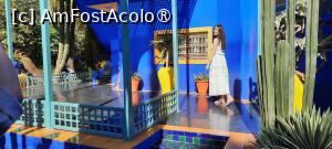 [P36] Marrakech, Grădina Majorelle, Muzeul de Artă Berberă Pierre Bergé pozat din alt unghi » foto by mprofeanu
 - 
<span class="allrVoted glyphicon glyphicon-heart hidden" id="av1483283"></span>
<a class="m-l-10 hidden" id="sv1483283" onclick="voting_Foto_DelVot(,1483283,29203)" role="button">șterge vot <span class="glyphicon glyphicon-remove"></span></a>
<a id="v91483283" class=" c-red"  onclick="voting_Foto_SetVot(1483283)" role="button"><span class="glyphicon glyphicon-heart-empty"></span> <b>LIKE</b> = Votează poza</a> <img class="hidden"  id="f1483283W9" src="/imagini/loader.gif" border="0" /><span class="AjErrMes hidden" id="e1483283ErM"></span>