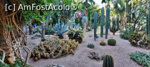 [P58] Marrakech, Grădina Majorelle, Colecția de Cactuși » foto by mprofeanu
 - 
<span class="allrVoted glyphicon glyphicon-heart hidden" id="av1483305"></span>
<a class="m-l-10 hidden" id="sv1483305" onclick="voting_Foto_DelVot(,1483305,29203)" role="button">șterge vot <span class="glyphicon glyphicon-remove"></span></a>
<a id="v91483305" class=" c-red"  onclick="voting_Foto_SetVot(1483305)" role="button"><span class="glyphicon glyphicon-heart-empty"></span> <b>LIKE</b> = Votează poza</a> <img class="hidden"  id="f1483305W9" src="/imagini/loader.gif" border="0" /><span class="AjErrMes hidden" id="e1483305ErM"></span>