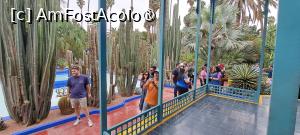 [P10] Lângă clădirea muzeului » foto by irinad
 - 
<span class="allrVoted glyphicon glyphicon-heart hidden" id="av1510614"></span>
<a class="m-l-10 hidden" id="sv1510614" onclick="voting_Foto_DelVot(,1510614,29203)" role="button">șterge vot <span class="glyphicon glyphicon-remove"></span></a>
<a id="v91510614" class=" c-red"  onclick="voting_Foto_SetVot(1510614)" role="button"><span class="glyphicon glyphicon-heart-empty"></span> <b>LIKE</b> = Votează poza</a> <img class="hidden"  id="f1510614W9" src="/imagini/loader.gif" border="0" /><span class="AjErrMes hidden" id="e1510614ErM"></span>