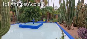 [P12] Frumoasa fântână » foto by irinad
 - 
<span class="allrVoted glyphicon glyphicon-heart hidden" id="av1510616"></span>
<a class="m-l-10 hidden" id="sv1510616" onclick="voting_Foto_DelVot(,1510616,29203)" role="button">șterge vot <span class="glyphicon glyphicon-remove"></span></a>
<a id="v91510616" class=" c-red"  onclick="voting_Foto_SetVot(1510616)" role="button"><span class="glyphicon glyphicon-heart-empty"></span> <b>LIKE</b> = Votează poza</a> <img class="hidden"  id="f1510616W9" src="/imagini/loader.gif" border="0" /><span class="AjErrMes hidden" id="e1510616ErM"></span>