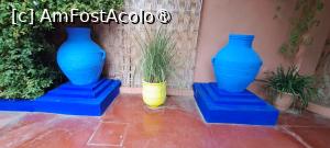 [P15] Vase surori » foto by irinad
 - 
<span class="allrVoted glyphicon glyphicon-heart hidden" id="av1510619"></span>
<a class="m-l-10 hidden" id="sv1510619" onclick="voting_Foto_DelVot(,1510619,29203)" role="button">șterge vot <span class="glyphicon glyphicon-remove"></span></a>
<a id="v91510619" class=" c-red"  onclick="voting_Foto_SetVot(1510619)" role="button"><span class="glyphicon glyphicon-heart-empty"></span> <b>LIKE</b> = Votează poza</a> <img class="hidden"  id="f1510619W9" src="/imagini/loader.gif" border="0" /><span class="AjErrMes hidden" id="e1510619ErM"></span>