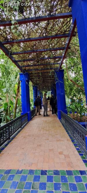 [P23] Pergolă » foto by irinad
 - 
<span class="allrVoted glyphicon glyphicon-heart hidden" id="av1510627"></span>
<a class="m-l-10 hidden" id="sv1510627" onclick="voting_Foto_DelVot(,1510627,29203)" role="button">șterge vot <span class="glyphicon glyphicon-remove"></span></a>
<a id="v91510627" class=" c-red"  onclick="voting_Foto_SetVot(1510627)" role="button"><span class="glyphicon glyphicon-heart-empty"></span> <b>LIKE</b> = Votează poza</a> <img class="hidden"  id="f1510627W9" src="/imagini/loader.gif" border="0" /><span class="AjErrMes hidden" id="e1510627ErM"></span>