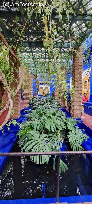 [P26] Pergolă în fața Muzeului Artelor Berbere » foto by irinad
 - 
<span class="allrVoted glyphicon glyphicon-heart hidden" id="av1510630"></span>
<a class="m-l-10 hidden" id="sv1510630" onclick="voting_Foto_DelVot(,1510630,29203)" role="button">șterge vot <span class="glyphicon glyphicon-remove"></span></a>
<a id="v91510630" class=" c-red"  onclick="voting_Foto_SetVot(1510630)" role="button"><span class="glyphicon glyphicon-heart-empty"></span> <b>LIKE</b> = Votează poza</a> <img class="hidden"  id="f1510630W9" src="/imagini/loader.gif" border="0" /><span class="AjErrMes hidden" id="e1510630ErM"></span>