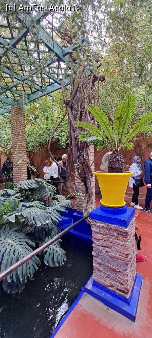 [P27] Pergolă și un vas galben în fața Muzeului Artelor Berbere » foto by irinad
 - 
<span class="allrVoted glyphicon glyphicon-heart hidden" id="av1510631"></span>
<a class="m-l-10 hidden" id="sv1510631" onclick="voting_Foto_DelVot(,1510631,29203)" role="button">șterge vot <span class="glyphicon glyphicon-remove"></span></a>
<a id="v91510631" class=" c-red"  onclick="voting_Foto_SetVot(1510631)" role="button"><span class="glyphicon glyphicon-heart-empty"></span> <b>LIKE</b> = Votează poza</a> <img class="hidden"  id="f1510631W9" src="/imagini/loader.gif" border="0" /><span class="AjErrMes hidden" id="e1510631ErM"></span>