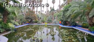 [P03] Vedere spre un bazin cu nuferi » foto by irinad
 - 
<span class="allrVoted glyphicon glyphicon-heart hidden" id="av1510607"></span>
<a class="m-l-10 hidden" id="sv1510607" onclick="voting_Foto_DelVot(,1510607,29203)" role="button">șterge vot <span class="glyphicon glyphicon-remove"></span></a>
<a id="v91510607" class=" c-red"  onclick="voting_Foto_SetVot(1510607)" role="button"><span class="glyphicon glyphicon-heart-empty"></span> <b>LIKE</b> = Votează poza</a> <img class="hidden"  id="f1510607W9" src="/imagini/loader.gif" border="0" /><span class="AjErrMes hidden" id="e1510607ErM"></span>