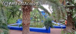 [P54] Palmieri și bazin » foto by irinad
 - 
<span class="allrVoted glyphicon glyphicon-heart hidden" id="av1510658"></span>
<a class="m-l-10 hidden" id="sv1510658" onclick="voting_Foto_DelVot(,1510658,29203)" role="button">șterge vot <span class="glyphicon glyphicon-remove"></span></a>
<a id="v91510658" class=" c-red"  onclick="voting_Foto_SetVot(1510658)" role="button"><span class="glyphicon glyphicon-heart-empty"></span> <b>LIKE</b> = Votează poza</a> <img class="hidden"  id="f1510658W9" src="/imagini/loader.gif" border="0" /><span class="AjErrMes hidden" id="e1510658ErM"></span>