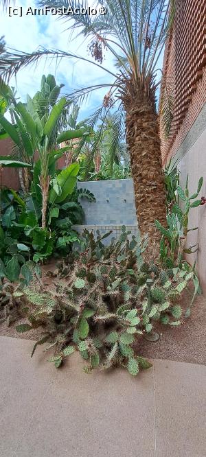 [P73] Din Muzeul Yves Saint Laurent, pe terasă » foto by irinad
 - 
<span class="allrVoted glyphicon glyphicon-heart hidden" id="av1510677"></span>
<a class="m-l-10 hidden" id="sv1510677" onclick="voting_Foto_DelVot(,1510677,29203)" role="button">șterge vot <span class="glyphicon glyphicon-remove"></span></a>
<a id="v91510677" class=" c-red"  onclick="voting_Foto_SetVot(1510677)" role="button"><span class="glyphicon glyphicon-heart-empty"></span> <b>LIKE</b> = Votează poza</a> <img class="hidden"  id="f1510677W9" src="/imagini/loader.gif" border="0" /><span class="AjErrMes hidden" id="e1510677ErM"></span>