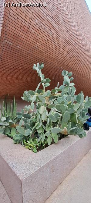 [P74] Din Muzeul Yves Saint Laurent, pe terasă » foto by irinad
 - 
<span class="allrVoted glyphicon glyphicon-heart hidden" id="av1510678"></span>
<a class="m-l-10 hidden" id="sv1510678" onclick="voting_Foto_DelVot(,1510678,29203)" role="button">șterge vot <span class="glyphicon glyphicon-remove"></span></a>
<a id="v91510678" class=" c-red"  onclick="voting_Foto_SetVot(1510678)" role="button"><span class="glyphicon glyphicon-heart-empty"></span> <b>LIKE</b> = Votează poza</a> <img class="hidden"  id="f1510678W9" src="/imagini/loader.gif" border="0" /><span class="AjErrMes hidden" id="e1510678ErM"></span>