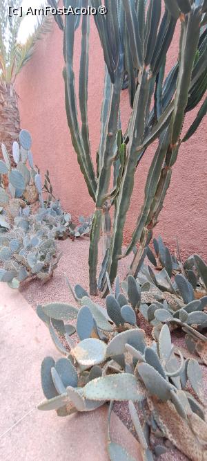 [P75] Din Muzeul Yves Saint Laurent, pe terasă » foto by irinad
 - 
<span class="allrVoted glyphicon glyphicon-heart hidden" id="av1510679"></span>
<a class="m-l-10 hidden" id="sv1510679" onclick="voting_Foto_DelVot(,1510679,29203)" role="button">șterge vot <span class="glyphicon glyphicon-remove"></span></a>
<a id="v91510679" class=" c-red"  onclick="voting_Foto_SetVot(1510679)" role="button"><span class="glyphicon glyphicon-heart-empty"></span> <b>LIKE</b> = Votează poza</a> <img class="hidden"  id="f1510679W9" src="/imagini/loader.gif" border="0" /><span class="AjErrMes hidden" id="e1510679ErM"></span>