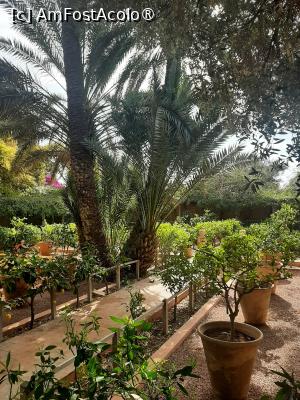 [P10] Grădina privată a Vilei Oasis » foto by adso
 - 
<span class="allrVoted glyphicon glyphicon-heart hidden" id="av1524792"></span>
<a class="m-l-10 hidden" id="sv1524792" onclick="voting_Foto_DelVot(,1524792,29203)" role="button">șterge vot <span class="glyphicon glyphicon-remove"></span></a>
<a id="v91524792" class=" c-red"  onclick="voting_Foto_SetVot(1524792)" role="button"><span class="glyphicon glyphicon-heart-empty"></span> <b>LIKE</b> = Votează poza</a> <img class="hidden"  id="f1524792W9" src="/imagini/loader.gif" border="0" /><span class="AjErrMes hidden" id="e1524792ErM"></span>