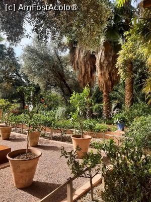 [P11] Grădina privată a Vilei Oasis » foto by adso
 - 
<span class="allrVoted glyphicon glyphicon-heart hidden" id="av1524793"></span>
<a class="m-l-10 hidden" id="sv1524793" onclick="voting_Foto_DelVot(,1524793,29203)" role="button">șterge vot <span class="glyphicon glyphicon-remove"></span></a>
<a id="v91524793" class=" c-red"  onclick="voting_Foto_SetVot(1524793)" role="button"><span class="glyphicon glyphicon-heart-empty"></span> <b>LIKE</b> = Votează poza</a> <img class="hidden"  id="f1524793W9" src="/imagini/loader.gif" border="0" /><span class="AjErrMes hidden" id="e1524793ErM"></span>