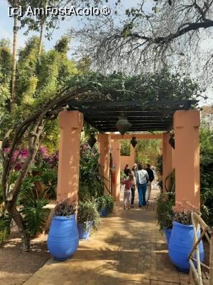 [P19] Grădina privată a Vilei Oasis » foto by adso
 - 
<span class="allrVoted glyphicon glyphicon-heart hidden" id="av1524801"></span>
<a class="m-l-10 hidden" id="sv1524801" onclick="voting_Foto_DelVot(,1524801,29203)" role="button">șterge vot <span class="glyphicon glyphicon-remove"></span></a>
<a id="v91524801" class=" c-red"  onclick="voting_Foto_SetVot(1524801)" role="button"><span class="glyphicon glyphicon-heart-empty"></span> <b>LIKE</b> = Votează poza</a> <img class="hidden"  id="f1524801W9" src="/imagini/loader.gif" border="0" /><span class="AjErrMes hidden" id="e1524801ErM"></span>