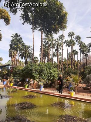 [P22] Grădina privată a Vilei Oasis » foto by adso
 - 
<span class="allrVoted glyphicon glyphicon-heart hidden" id="av1524804"></span>
<a class="m-l-10 hidden" id="sv1524804" onclick="voting_Foto_DelVot(,1524804,29203)" role="button">șterge vot <span class="glyphicon glyphicon-remove"></span></a>
<a id="v91524804" class=" c-red"  onclick="voting_Foto_SetVot(1524804)" role="button"><span class="glyphicon glyphicon-heart-empty"></span> <b>LIKE</b> = Votează poza</a> <img class="hidden"  id="f1524804W9" src="/imagini/loader.gif" border="0" /><span class="AjErrMes hidden" id="e1524804ErM"></span>