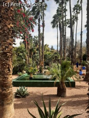 [P23] Grădina privată a Vilei Oasis » foto by adso
 - 
<span class="allrVoted glyphicon glyphicon-heart hidden" id="av1524805"></span>
<a class="m-l-10 hidden" id="sv1524805" onclick="voting_Foto_DelVot(,1524805,29203)" role="button">șterge vot <span class="glyphicon glyphicon-remove"></span></a>
<a id="v91524805" class=" c-red"  onclick="voting_Foto_SetVot(1524805)" role="button"><span class="glyphicon glyphicon-heart-empty"></span> <b>LIKE</b> = Votează poza</a> <img class="hidden"  id="f1524805W9" src="/imagini/loader.gif" border="0" /><span class="AjErrMes hidden" id="e1524805ErM"></span>