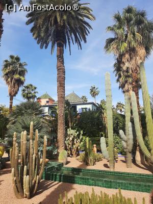 [P30] Grădina privată a Vilei Oasis » foto by adso
 - 
<span class="allrVoted glyphicon glyphicon-heart hidden" id="av1524812"></span>
<a class="m-l-10 hidden" id="sv1524812" onclick="voting_Foto_DelVot(,1524812,29203)" role="button">șterge vot <span class="glyphicon glyphicon-remove"></span></a>
<a id="v91524812" class=" c-red"  onclick="voting_Foto_SetVot(1524812)" role="button"><span class="glyphicon glyphicon-heart-empty"></span> <b>LIKE</b> = Votează poza</a> <img class="hidden"  id="f1524812W9" src="/imagini/loader.gif" border="0" /><span class="AjErrMes hidden" id="e1524812ErM"></span>