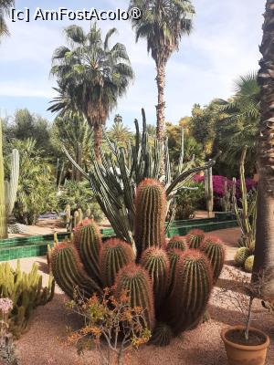 [P31] Grădina privată a Vilei Oasis » foto by adso
 - 
<span class="allrVoted glyphicon glyphicon-heart hidden" id="av1524813"></span>
<a class="m-l-10 hidden" id="sv1524813" onclick="voting_Foto_DelVot(,1524813,29203)" role="button">șterge vot <span class="glyphicon glyphicon-remove"></span></a>
<a id="v91524813" class=" c-red"  onclick="voting_Foto_SetVot(1524813)" role="button"><span class="glyphicon glyphicon-heart-empty"></span> <b>LIKE</b> = Votează poza</a> <img class="hidden"  id="f1524813W9" src="/imagini/loader.gif" border="0" /><span class="AjErrMes hidden" id="e1524813ErM"></span>