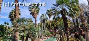 [P32] Grădina privată a Vilei Oasis » foto by adso
 - 
<span class="allrVoted glyphicon glyphicon-heart hidden" id="av1524814"></span>
<a class="m-l-10 hidden" id="sv1524814" onclick="voting_Foto_DelVot(,1524814,29203)" role="button">șterge vot <span class="glyphicon glyphicon-remove"></span></a>
<a id="v91524814" class=" c-red"  onclick="voting_Foto_SetVot(1524814)" role="button"><span class="glyphicon glyphicon-heart-empty"></span> <b>LIKE</b> = Votează poza</a> <img class="hidden"  id="f1524814W9" src="/imagini/loader.gif" border="0" /><span class="AjErrMes hidden" id="e1524814ErM"></span>