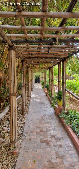 [P08] Grădina privată a Vilei Oasis » foto by adso
 - 
<span class="allrVoted glyphicon glyphicon-heart hidden" id="av1524790"></span>
<a class="m-l-10 hidden" id="sv1524790" onclick="voting_Foto_DelVot(,1524790,29203)" role="button">șterge vot <span class="glyphicon glyphicon-remove"></span></a>
<a id="v91524790" class=" c-red"  onclick="voting_Foto_SetVot(1524790)" role="button"><span class="glyphicon glyphicon-heart-empty"></span> <b>LIKE</b> = Votează poza</a> <img class="hidden"  id="f1524790W9" src="/imagini/loader.gif" border="0" /><span class="AjErrMes hidden" id="e1524790ErM"></span>