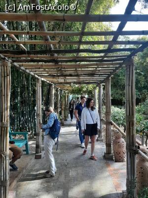 [P09] Grădina privată a Vilei Oasis » foto by adso
 - 
<span class="allrVoted glyphicon glyphicon-heart hidden" id="av1524791"></span>
<a class="m-l-10 hidden" id="sv1524791" onclick="voting_Foto_DelVot(,1524791,29203)" role="button">șterge vot <span class="glyphicon glyphicon-remove"></span></a>
<a id="v91524791" class=" c-red"  onclick="voting_Foto_SetVot(1524791)" role="button"><span class="glyphicon glyphicon-heart-empty"></span> <b>LIKE</b> = Votează poza</a> <img class="hidden"  id="f1524791W9" src="/imagini/loader.gif" border="0" /><span class="AjErrMes hidden" id="e1524791ErM"></span>