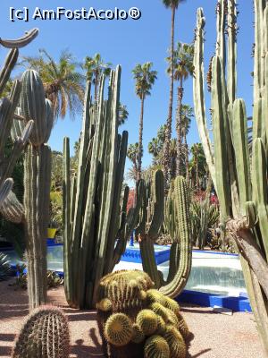 [P11]  -- <small>// FĂRĂ DESCRIERE</small> » foto by geani anto
 - 
<span class="allrVoted glyphicon glyphicon-heart hidden" id="av1309427"></span>
<a class="m-l-10 hidden" id="sv1309427" onclick="voting_Foto_DelVot(,1309427,29203)" role="button">șterge vot <span class="glyphicon glyphicon-remove"></span></a>
<a id="v91309427" class=" c-red"  onclick="voting_Foto_SetVot(1309427)" role="button"><span class="glyphicon glyphicon-heart-empty"></span> <b>LIKE</b> = Votează poza</a> <img class="hidden"  id="f1309427W9" src="/imagini/loader.gif" border="0" /><span class="AjErrMes hidden" id="e1309427ErM"></span>