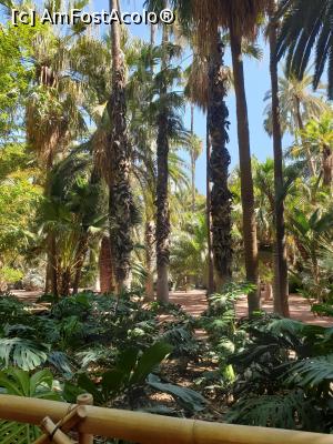 [P03]  -- <small>// FĂRĂ DESCRIERE</small> » foto by geani anto
 - 
<span class="allrVoted glyphicon glyphicon-heart hidden" id="av1309419"></span>
<a class="m-l-10 hidden" id="sv1309419" onclick="voting_Foto_DelVot(,1309419,29203)" role="button">șterge vot <span class="glyphicon glyphicon-remove"></span></a>
<a id="v91309419" class=" c-red"  onclick="voting_Foto_SetVot(1309419)" role="button"><span class="glyphicon glyphicon-heart-empty"></span> <b>LIKE</b> = Votează poza</a> <img class="hidden"  id="f1309419W9" src="/imagini/loader.gif" border="0" /><span class="AjErrMes hidden" id="e1309419ErM"></span>