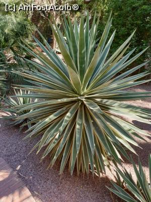 [P04]  -- <small>// FĂRĂ DESCRIERE</small> » foto by geani anto
 - 
<span class="allrVoted glyphicon glyphicon-heart hidden" id="av1309420"></span>
<a class="m-l-10 hidden" id="sv1309420" onclick="voting_Foto_DelVot(,1309420,29203)" role="button">șterge vot <span class="glyphicon glyphicon-remove"></span></a>
<a id="v91309420" class=" c-red"  onclick="voting_Foto_SetVot(1309420)" role="button"><span class="glyphicon glyphicon-heart-empty"></span> <b>LIKE</b> = Votează poza</a> <img class="hidden"  id="f1309420W9" src="/imagini/loader.gif" border="0" /><span class="AjErrMes hidden" id="e1309420ErM"></span>