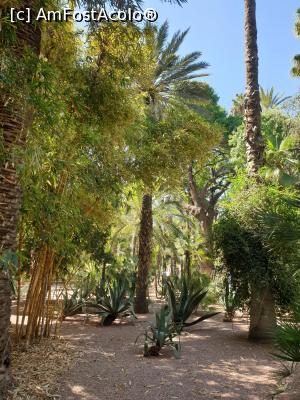 [P05]  -- <small>// FĂRĂ DESCRIERE</small> » foto by geani anto
 - 
<span class="allrVoted glyphicon glyphicon-heart hidden" id="av1309421"></span>
<a class="m-l-10 hidden" id="sv1309421" onclick="voting_Foto_DelVot(,1309421,29203)" role="button">șterge vot <span class="glyphicon glyphicon-remove"></span></a>
<a id="v91309421" class=" c-red"  onclick="voting_Foto_SetVot(1309421)" role="button"><span class="glyphicon glyphicon-heart-empty"></span> <b>LIKE</b> = Votează poza</a> <img class="hidden"  id="f1309421W9" src="/imagini/loader.gif" border="0" /><span class="AjErrMes hidden" id="e1309421ErM"></span>