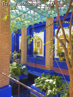 [P07]  -- <small>// FĂRĂ DESCRIERE</small> » foto by geani anto
 - 
<span class="allrVoted glyphicon glyphicon-heart hidden" id="av1309423"></span>
<a class="m-l-10 hidden" id="sv1309423" onclick="voting_Foto_DelVot(,1309423,29203)" role="button">șterge vot <span class="glyphicon glyphicon-remove"></span></a>
<a id="v91309423" class=" c-red"  onclick="voting_Foto_SetVot(1309423)" role="button"><span class="glyphicon glyphicon-heart-empty"></span> <b>LIKE</b> = Votează poza</a> <img class="hidden"  id="f1309423W9" src="/imagini/loader.gif" border="0" /><span class="AjErrMes hidden" id="e1309423ErM"></span>