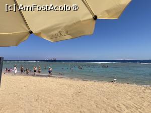 [P42] Rixos Radamis Tirana - plaja şi marea » foto by nicole33
 - 
<span class="allrVoted glyphicon glyphicon-heart hidden" id="av1510902"></span>
<a class="m-l-10 hidden" id="sv1510902" onclick="voting_Foto_DelVot(,1510902,29204)" role="button">șterge vot <span class="glyphicon glyphicon-remove"></span></a>
<a id="v91510902" class=" c-red"  onclick="voting_Foto_SetVot(1510902)" role="button"><span class="glyphicon glyphicon-heart-empty"></span> <b>LIKE</b> = Votează poza</a> <img class="hidden"  id="f1510902W9" src="/imagini/loader.gif" border="0" /><span class="AjErrMes hidden" id="e1510902ErM"></span>