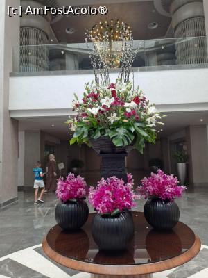 [P06] Rixos Radamis Tirana - decor la intrarea în restaurantul Turquoise » foto by nicole33
 - 
<span class="allrVoted glyphicon glyphicon-heart hidden" id="av1510866"></span>
<a class="m-l-10 hidden" id="sv1510866" onclick="voting_Foto_DelVot(,1510866,29204)" role="button">șterge vot <span class="glyphicon glyphicon-remove"></span></a>
<a id="v91510866" class=" c-red"  onclick="voting_Foto_SetVot(1510866)" role="button"><span class="glyphicon glyphicon-heart-empty"></span> <b>LIKE</b> = Votează poza</a> <img class="hidden"  id="f1510866W9" src="/imagini/loader.gif" border="0" /><span class="AjErrMes hidden" id="e1510866ErM"></span>