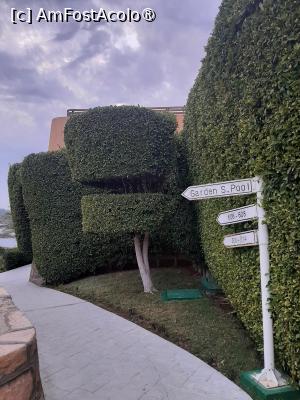 [P16] Steigenberger Resort Achti » foto by adso
 - 
<span class="allrVoted glyphicon glyphicon-heart hidden" id="av1511197"></span>
<a class="m-l-10 hidden" id="sv1511197" onclick="voting_Foto_DelVot(,1511197,29205)" role="button">șterge vot <span class="glyphicon glyphicon-remove"></span></a>
<a id="v91511197" class=" c-red"  onclick="voting_Foto_SetVot(1511197)" role="button"><span class="glyphicon glyphicon-heart-empty"></span> <b>LIKE</b> = Votează poza</a> <img class="hidden"  id="f1511197W9" src="/imagini/loader.gif" border="0" /><span class="AjErrMes hidden" id="e1511197ErM"></span>