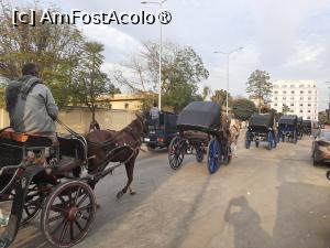 [P84] Drumul de la hotel către oraș » foto by adso
 - 
<span class="allrVoted glyphicon glyphicon-heart hidden" id="av1511265"></span>
<a class="m-l-10 hidden" id="sv1511265" onclick="voting_Foto_DelVot(,1511265,29205)" role="button">șterge vot <span class="glyphicon glyphicon-remove"></span></a>
<a id="v91511265" class=" c-red"  onclick="voting_Foto_SetVot(1511265)" role="button"><span class="glyphicon glyphicon-heart-empty"></span> <b>LIKE</b> = Votează poza</a> <img class="hidden"  id="f1511265W9" src="/imagini/loader.gif" border="0" /><span class="AjErrMes hidden" id="e1511265ErM"></span>