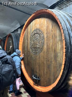 [P29] Crama Murfatlar - butoaie identificate individual » foto by mishu
 - 
<span class="allrVoted glyphicon glyphicon-heart hidden" id="av1521754"></span>
<a class="m-l-10 hidden" id="sv1521754" onclick="voting_Foto_DelVot(,1521754,29208)" role="button">șterge vot <span class="glyphicon glyphicon-remove"></span></a>
<a id="v91521754" class=" c-red"  onclick="voting_Foto_SetVot(1521754)" role="button"><span class="glyphicon glyphicon-heart-empty"></span> <b>LIKE</b> = Votează poza</a> <img class="hidden"  id="f1521754W9" src="/imagini/loader.gif" border="0" /><span class="AjErrMes hidden" id="e1521754ErM"></span>