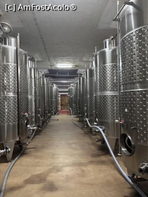 [P32] Crama Murfatlar » foto by mishu
 - 
<span class="allrVoted glyphicon glyphicon-heart hidden" id="av1521757"></span>
<a class="m-l-10 hidden" id="sv1521757" onclick="voting_Foto_DelVot(,1521757,29208)" role="button">șterge vot <span class="glyphicon glyphicon-remove"></span></a>
<a id="v91521757" class=" c-red"  onclick="voting_Foto_SetVot(1521757)" role="button"><span class="glyphicon glyphicon-heart-empty"></span> <b>LIKE</b> = Votează poza</a> <img class="hidden"  id="f1521757W9" src="/imagini/loader.gif" border="0" /><span class="AjErrMes hidden" id="e1521757ErM"></span>