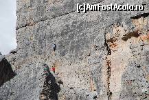 [P13]  -- <small>// FĂRĂ DESCRIERE</small> » foto by mariana
 - 
<span class="allrVoted glyphicon glyphicon-heart hidden" id="av16943"></span>
<a class="m-l-10 hidden" id="sv16943" onclick="voting_Foto_DelVot(,16943,29209)" role="button">șterge vot <span class="glyphicon glyphicon-remove"></span></a>
<a id="v916943" class=" c-red"  onclick="voting_Foto_SetVot(16943)" role="button"><span class="glyphicon glyphicon-heart-empty"></span> <b>LIKE</b> = Votează poza</a> <img class="hidden"  id="f16943W9" src="/imagini/loader.gif" border="0" /><span class="AjErrMes hidden" id="e16943ErM"></span>