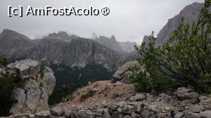 [P41]  -- <small>// FĂRĂ DESCRIERE</small> » foto by elenaadina
 - 
<span class="allrVoted glyphicon glyphicon-heart hidden" id="av1511681"></span>
<a class="m-l-10 hidden" id="sv1511681" onclick="voting_Foto_DelVot(,1511681,29209)" role="button">șterge vot <span class="glyphicon glyphicon-remove"></span></a>
<a id="v91511681" class=" c-red"  onclick="voting_Foto_SetVot(1511681)" role="button"><span class="glyphicon glyphicon-heart-empty"></span> <b>LIKE</b> = Votează poza</a> <img class="hidden"  id="f1511681W9" src="/imagini/loader.gif" border="0" /><span class="AjErrMes hidden" id="e1511681ErM"></span>