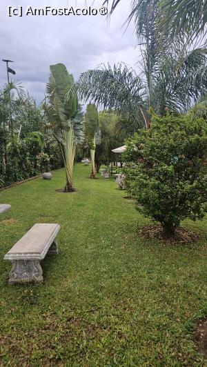 [P21] grădina interioară » foto by robert
 - 
<span class="allrVoted glyphicon glyphicon-heart hidden" id="av1511635"></span>
<a class="m-l-10 hidden" id="sv1511635" onclick="voting_Foto_DelVot(,1511635,29210)" role="button">șterge vot <span class="glyphicon glyphicon-remove"></span></a>
<a id="v91511635" class=" c-red"  onclick="voting_Foto_SetVot(1511635)" role="button"><span class="glyphicon glyphicon-heart-empty"></span> <b>LIKE</b> = Votează poza</a> <img class="hidden"  id="f1511635W9" src="/imagini/loader.gif" border="0" /><span class="AjErrMes hidden" id="e1511635ErM"></span>