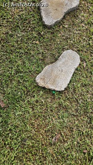 [P25] grădina interioară » foto by robert
 - 
<span class="allrVoted glyphicon glyphicon-heart hidden" id="av1511639"></span>
<a class="m-l-10 hidden" id="sv1511639" onclick="voting_Foto_DelVot(,1511639,29210)" role="button">șterge vot <span class="glyphicon glyphicon-remove"></span></a>
<a id="v91511639" class=" c-red"  onclick="voting_Foto_SetVot(1511639)" role="button"><span class="glyphicon glyphicon-heart-empty"></span> <b>LIKE</b> = Votează poza</a> <img class="hidden"  id="f1511639W9" src="/imagini/loader.gif" border="0" /><span class="AjErrMes hidden" id="e1511639ErM"></span>