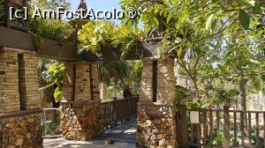 [P22] prin resort » foto by elenaadina
 - 
<span class="allrVoted glyphicon glyphicon-heart hidden" id="av1512117"></span>
<a class="m-l-10 hidden" id="sv1512117" onclick="voting_Foto_DelVot(,1512117,29213)" role="button">șterge vot <span class="glyphicon glyphicon-remove"></span></a>
<a id="v91512117" class=" c-red"  onclick="voting_Foto_SetVot(1512117)" role="button"><span class="glyphicon glyphicon-heart-empty"></span> <b>LIKE</b> = Votează poza</a> <img class="hidden"  id="f1512117W9" src="/imagini/loader.gif" border="0" /><span class="AjErrMes hidden" id="e1512117ErM"></span>