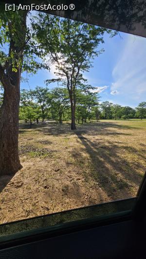 [P38] prin parcul natural » foto by robert
 - 
<span class="allrVoted glyphicon glyphicon-heart hidden" id="av1513786"></span>
<a class="m-l-10 hidden" id="sv1513786" onclick="voting_Foto_DelVot(,1513786,29216)" role="button">șterge vot <span class="glyphicon glyphicon-remove"></span></a>
<a id="v91513786" class=" c-red"  onclick="voting_Foto_SetVot(1513786)" role="button"><span class="glyphicon glyphicon-heart-empty"></span> <b>LIKE</b> = Votează poza</a> <img class="hidden"  id="f1513786W9" src="/imagini/loader.gif" border="0" /><span class="AjErrMes hidden" id="e1513786ErM"></span>