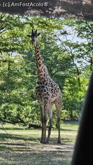 [P39] prin parcul natural » foto by robert
 - 
<span class="allrVoted glyphicon glyphicon-heart hidden" id="av1513787"></span>
<a class="m-l-10 hidden" id="sv1513787" onclick="voting_Foto_DelVot(,1513787,29216)" role="button">șterge vot <span class="glyphicon glyphicon-remove"></span></a>
<a id="v91513787" class=" c-red"  onclick="voting_Foto_SetVot(1513787)" role="button"><span class="glyphicon glyphicon-heart-empty"></span> <b>LIKE</b> = Votează poza</a> <img class="hidden"  id="f1513787W9" src="/imagini/loader.gif" border="0" /><span class="AjErrMes hidden" id="e1513787ErM"></span>