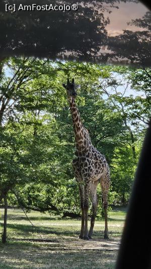 [P40] prin parcul natural » foto by robert
 - 
<span class="allrVoted glyphicon glyphicon-heart hidden" id="av1513788"></span>
<a class="m-l-10 hidden" id="sv1513788" onclick="voting_Foto_DelVot(,1513788,29216)" role="button">șterge vot <span class="glyphicon glyphicon-remove"></span></a>
<a id="v91513788" class=" c-red"  onclick="voting_Foto_SetVot(1513788)" role="button"><span class="glyphicon glyphicon-heart-empty"></span> <b>LIKE</b> = Votează poza</a> <img class="hidden"  id="f1513788W9" src="/imagini/loader.gif" border="0" /><span class="AjErrMes hidden" id="e1513788ErM"></span>