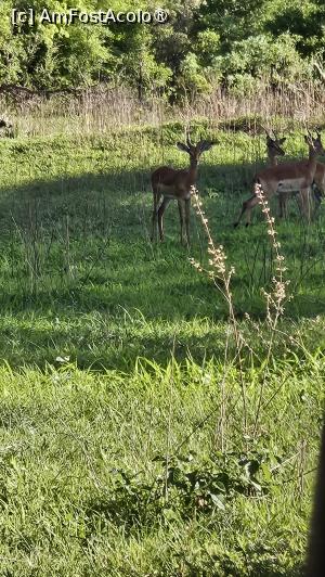 [P42] prin parcul natural » foto by robert
 - 
<span class="allrVoted glyphicon glyphicon-heart hidden" id="av1513790"></span>
<a class="m-l-10 hidden" id="sv1513790" onclick="voting_Foto_DelVot(,1513790,29216)" role="button">șterge vot <span class="glyphicon glyphicon-remove"></span></a>
<a id="v91513790" class=" c-red"  onclick="voting_Foto_SetVot(1513790)" role="button"><span class="glyphicon glyphicon-heart-empty"></span> <b>LIKE</b> = Votează poza</a> <img class="hidden"  id="f1513790W9" src="/imagini/loader.gif" border="0" /><span class="AjErrMes hidden" id="e1513790ErM"></span>