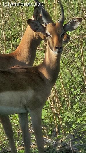 [P45] prin parcul natural » foto by robert
 - 
<span class="allrVoted glyphicon glyphicon-heart hidden" id="av1513793"></span>
<a class="m-l-10 hidden" id="sv1513793" onclick="voting_Foto_DelVot(,1513793,29216)" role="button">șterge vot <span class="glyphicon glyphicon-remove"></span></a>
<a id="v91513793" class=" c-red"  onclick="voting_Foto_SetVot(1513793)" role="button"><span class="glyphicon glyphicon-heart-empty"></span> <b>LIKE</b> = Votează poza</a> <img class="hidden"  id="f1513793W9" src="/imagini/loader.gif" border="0" /><span class="AjErrMes hidden" id="e1513793ErM"></span>